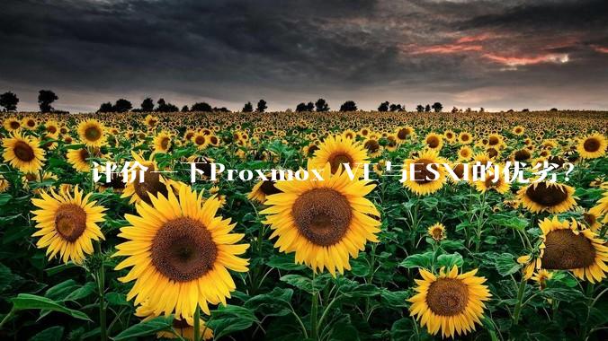 评价一下Proxmox VE与ESXi的优劣？